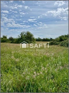 /international/fr/l-ile-d-olonne-pays-de-la-loire-310099657977/