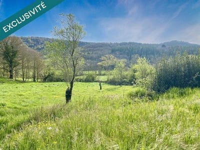 /international/fr/courtauly-languedoc-roussillon-310107298761/