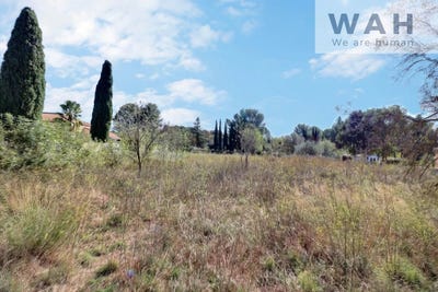 /international/fr/neffies-languedoc-roussillon-310105912195/