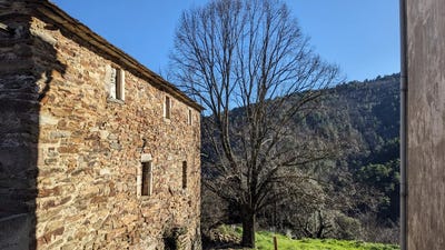/international/fr/sainte-cecile-d-andorge-languedoc-roussillon-310101085305/