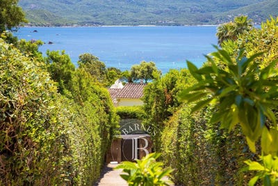 /international/fr/pietrosella-corsica-310100607137/
