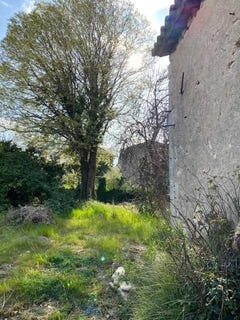 /international/fr/boissieres-languedoc-roussillon-310101251629/