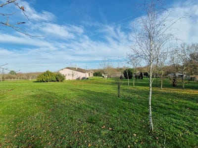 /international/fr/pugnac-aquitaine-310104796980/
