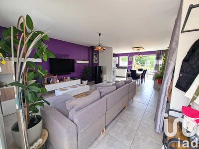 /international/fr/martinet-pays-de-la-loire-310101106909/