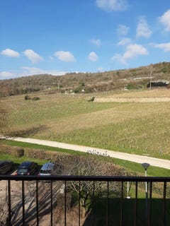/international/fr/nuits-saint-georges-burgundy-310099949042/?lang=zh-cn