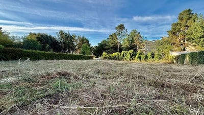 /international/fr/ancenis-saint-gereon-pays-de-la-loire-310101172727/?lang=zh-tw