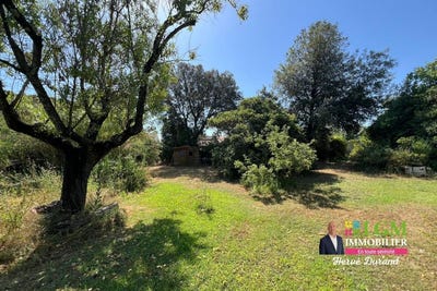 /international/fr/beaulieu-languedoc-roussillon-310109093625/