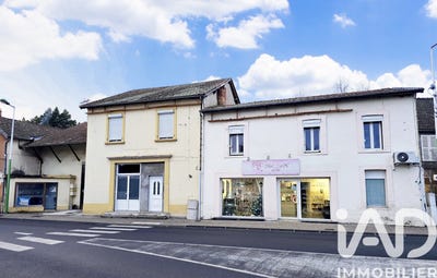 /international/fr/limons-auvergne-310108043060/