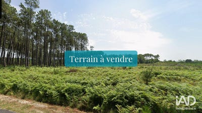 /international/fr/saint-michel-escalus-aquitaine-310104005571/
