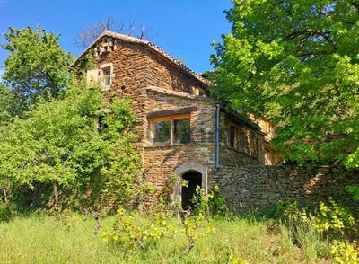 /international/fr/senechas-languedoc-roussillon-310108555363/