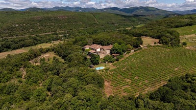 /international/fr/clermont-l-herault-languedoc-roussillon-310099574535/