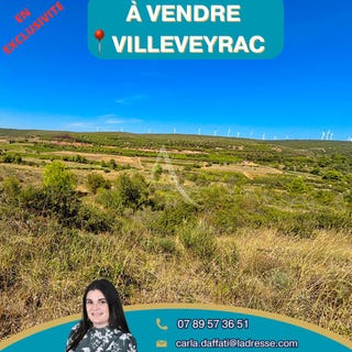 /international/fr/villeveyrac-languedoc-roussillon-310104462427/