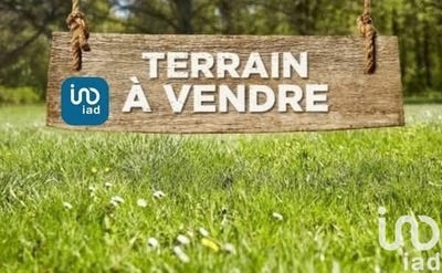 /international/fr/appoigny-burgundy-310100008886/