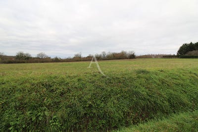 /international/fr/chisseaux-centre-val-de-loire-310105069985/