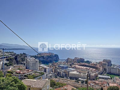 /international/fr/cap-d-ail-provence-alpes-cote-d-azur-310108628606/
