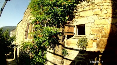 /international/fr/les-vignes-languedoc-roussillon-310102209640/