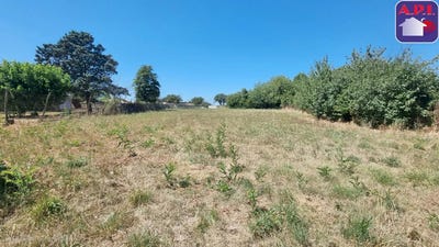 /international/fr/cintegabelle-midi-pyrenees-310104117707/
