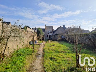 /international/fr/champtoce-sur-loire-pays-de-la-loire-310097483765/
