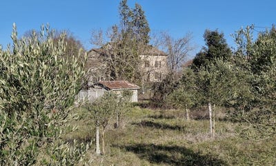 /international/fr/cordes-sur-ciel-midi-pyrenees-310107561568/