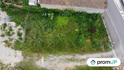 /international/fr/hirtzfelden-alsace-310103175903/