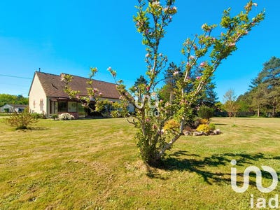 /international/fr/bouzy-la-foret-centre-val-de-loire-310098899412/