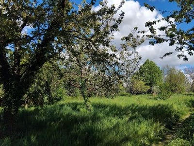 /international/fr/rieumes-midi-pyrenees-310101389394/?lang=id