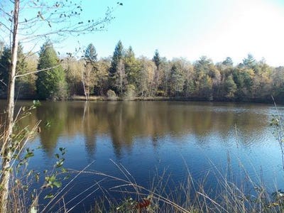 /international/fr/la-chapelle-montbrandeix-limousin-310100763302/