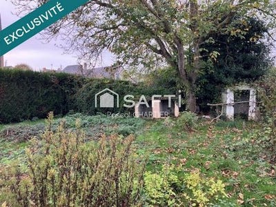 /international/fr/angers-pays-de-la-loire-310103615410/