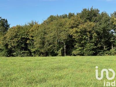 /international/fr/lodes-midi-pyrenees-310102641593/