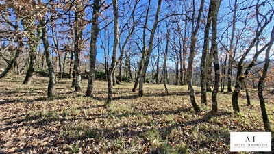 /international/fr/coux-rhone-310103044744/