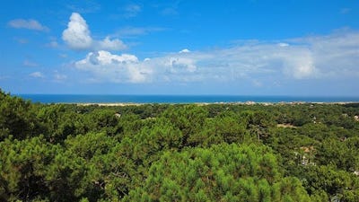 /international/fr/soorts-hossegor-aquitaine-310108557614/