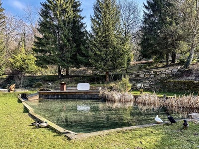 /international/fr/aiguebelette-le-lac-rhone-310096673428/