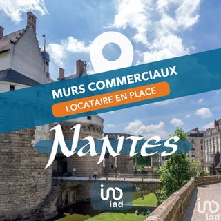/international/fr/nantes-pays-de-la-loire-310100598274/