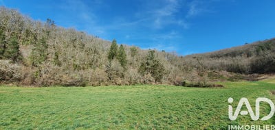 /international/fr/monceaux-sur-dordogne-limousin-310106421148/