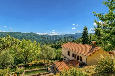 /international/fr/le-collet-de-deze-languedoc-roussillon-310108967867/
