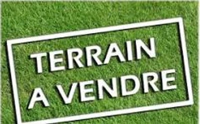 /international/fr/coex-pays-de-la-loire-310104087787/
