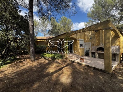 /international/fr/saint-clement-de-riviere-languedoc-roussillon-310101251798/?lang=it