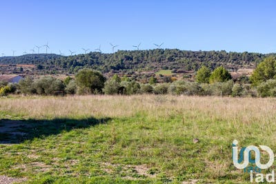 /international/fr/mailhac-languedoc-roussillon-310108514534/