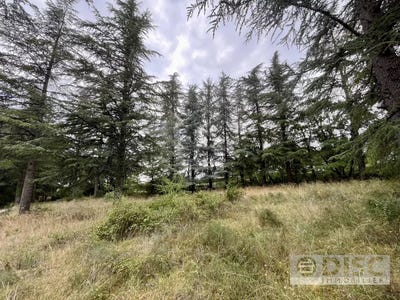 /international/fr/cahors-midi-pyrenees-310104963413/