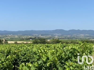 /international/fr/magalas-languedoc-roussillon-310100935010/