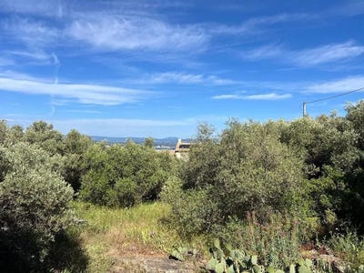 /international/fr/la-ciotat-provence-alpes-cote-d-azur-310100700858/