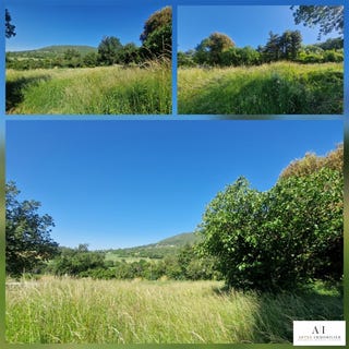 /international/fr/saint-marcel-les-sauzet-rhone-310108634240/