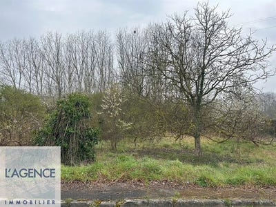 /international/fr/braine-picardie-120088744178/