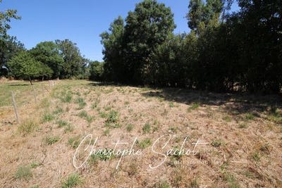 /international/fr/fors-charente-310100860687/