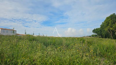 /international/fr/port-des-barques-charente-310104462270/