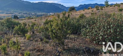 /international/fr/saint-paul-de-fenouillet-languedoc-roussillon-310108040442/