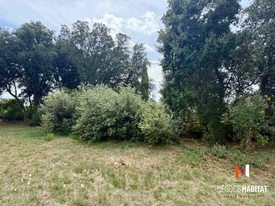 /international/fr/le-cres-midi-pyrenees-310109929215/