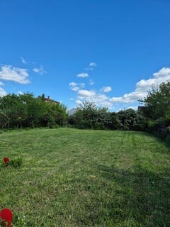 /international/fr/albi-midi-pyrenees-310107621396/