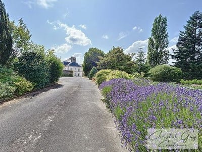 /international/fr/chateau-du-loir-pays-de-la-loire-310100414795/