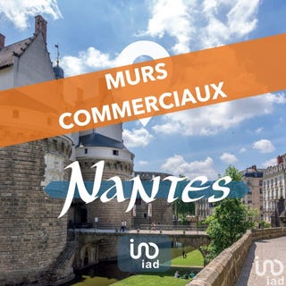 /international/fr/nantes-pays-de-la-loire-310096769731/